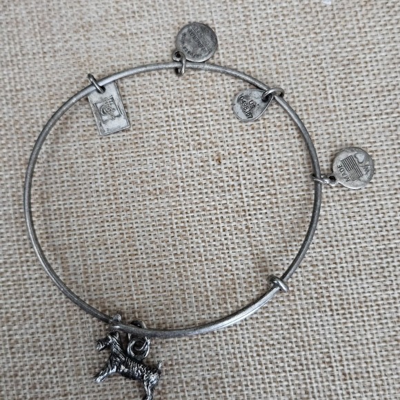 Alex and Ani Silver Monopoly Game Dog Charm Expandable Bangle Bracelet - Picture 1 of 8
